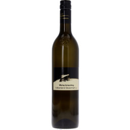 Wein & Wohnen Palz Welschriesling DAC 2019