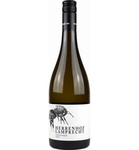 Herrenhof Lamprecht Sand & Kalk Weißburgunder 2019 BIO