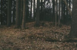 Ein riesiges Hügelgräberfeld liegt auf einem Berghang in Saaz. Am Bergfuß sprudelt das 