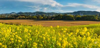 feldbach-Pano_vorschau-klar-web
