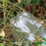 Plastikmüll