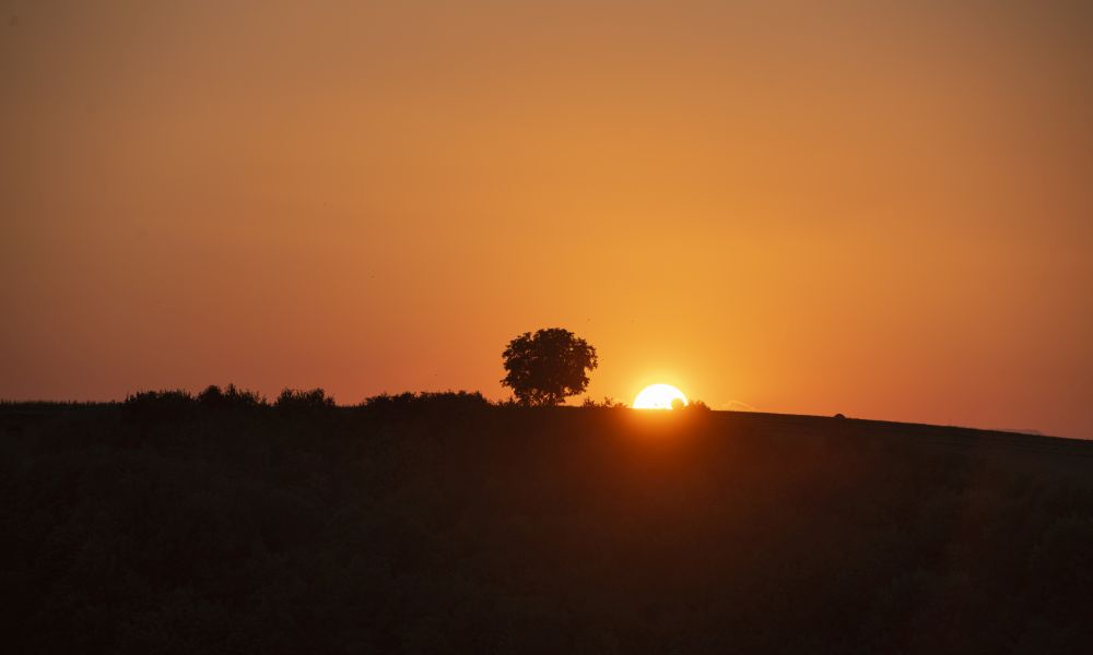 Klimafitte Region